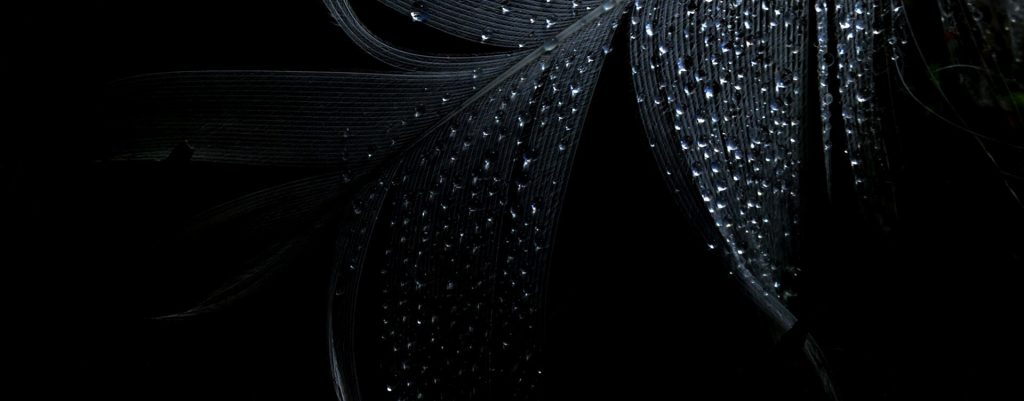 synagermoi-sto-volo-doukatzis